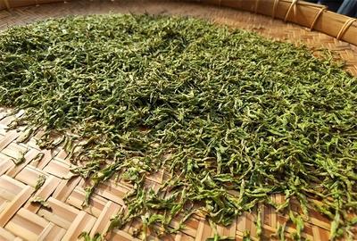 蒙頂之巔理真甘露 探尋傳統工藝與現代品味的完美交融